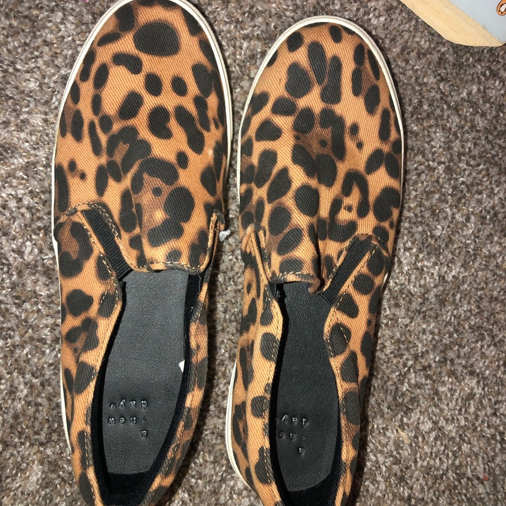 Cheetah Vans